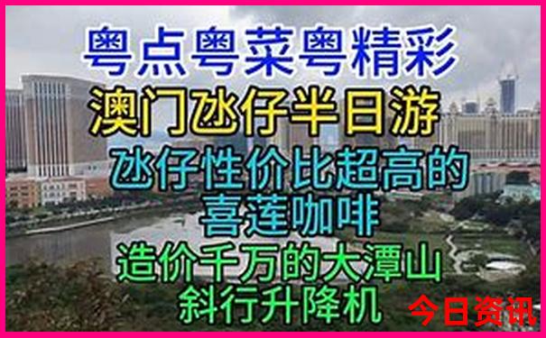 今晚特马最准确生肖