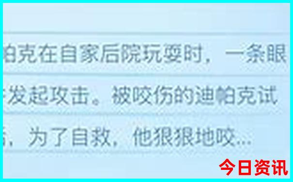 17图库正版图2025年