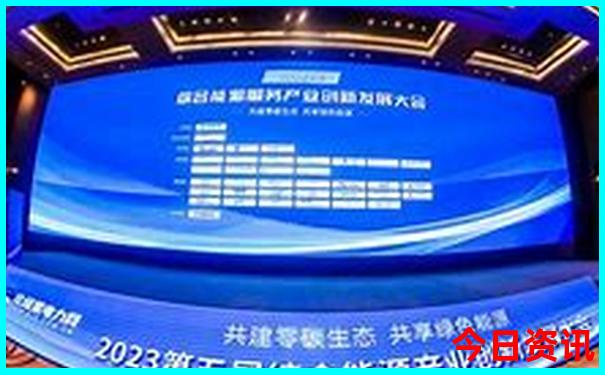 浙江十五选五开奖结果今天